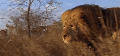 微信图片_20200728163232.gif