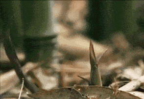 ueditor/5674/image/20190703/5d1c540d1c812.gif